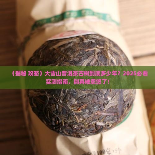 大雪山普洱茶古树有多少年