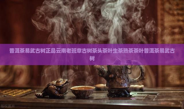 普洱茶易武古树