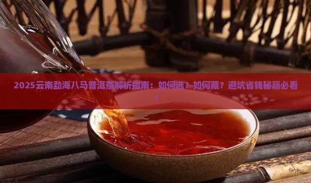 云南勐海八马普洱茶