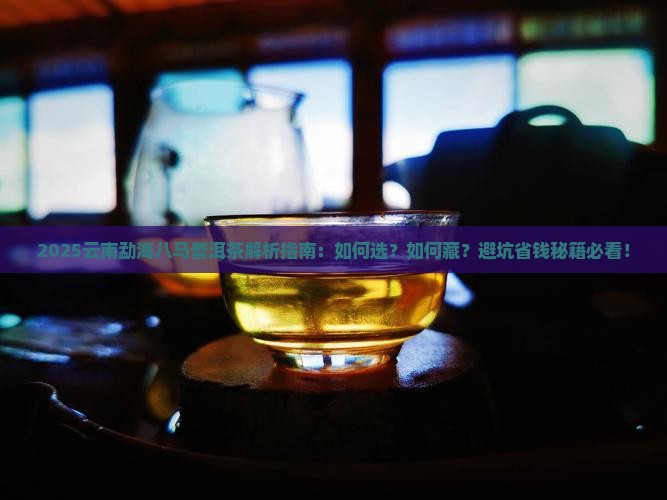 云南勐海八马普洱茶
