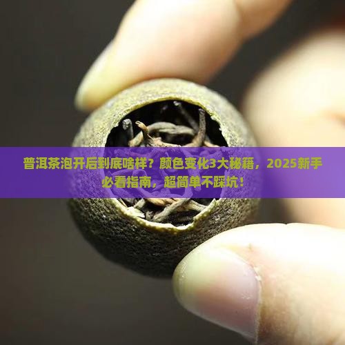 普洱茶泡开后的样子和颜色