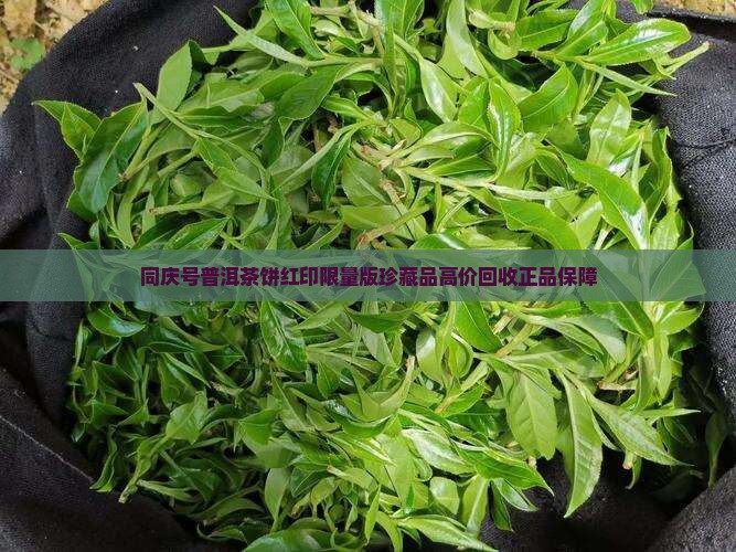 同庆号普洱茶饼红印