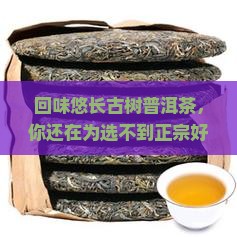 回味悠长古树普洱茶