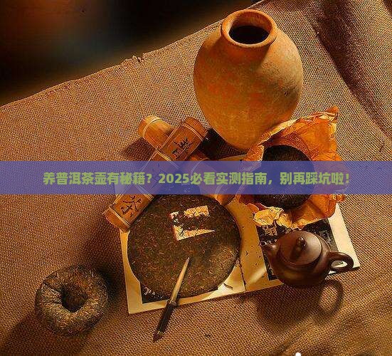 普洱茶用什么壶养比较好