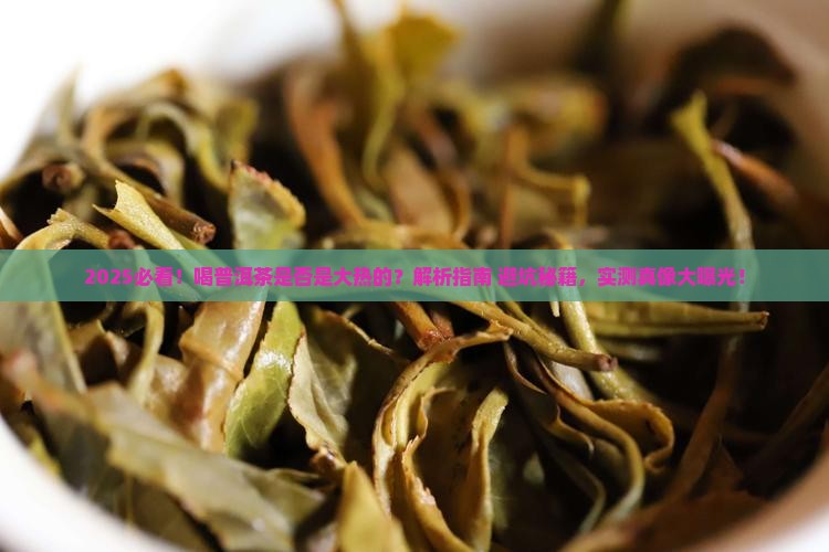 喝普洱茶是否是大热的