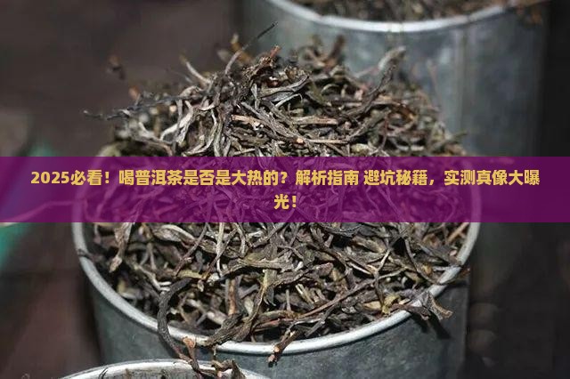 喝普洱茶是否是大热的