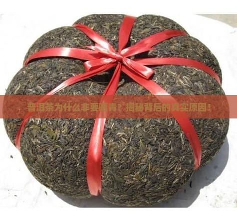 普洱茶为什么会晒青
