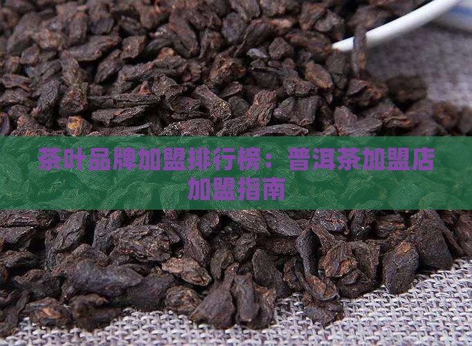 青海普洱茶代理加盟排行榜