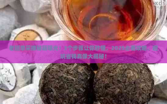 采摘老班章有哪些作用