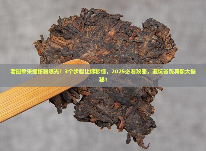 采摘老班章有哪些作用