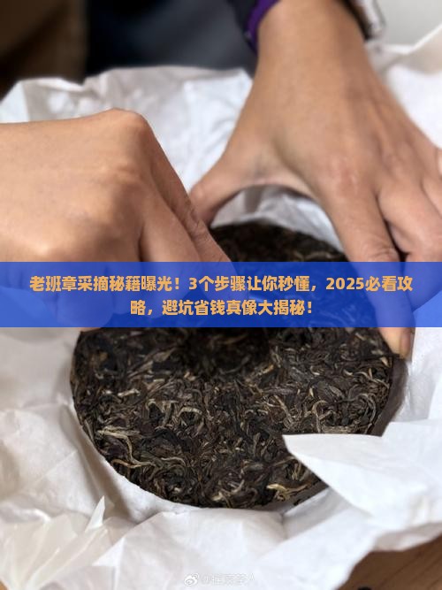 采摘老班章有哪些作用