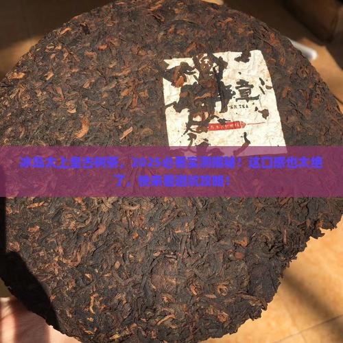 冰岛太上皇古树茶
