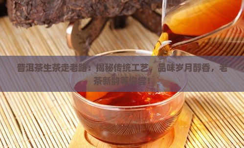 普洱茶生茶走老路
