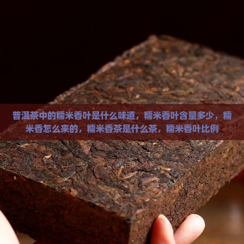 普洱茶中的糯米香叶是什么