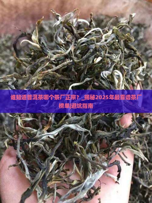 谁知道普洱茶哪个茶厂正宗