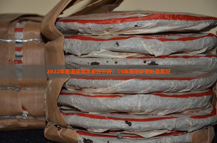 2022年普洱茶雨水