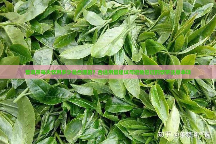 普洱茶一天喝多少是合理的