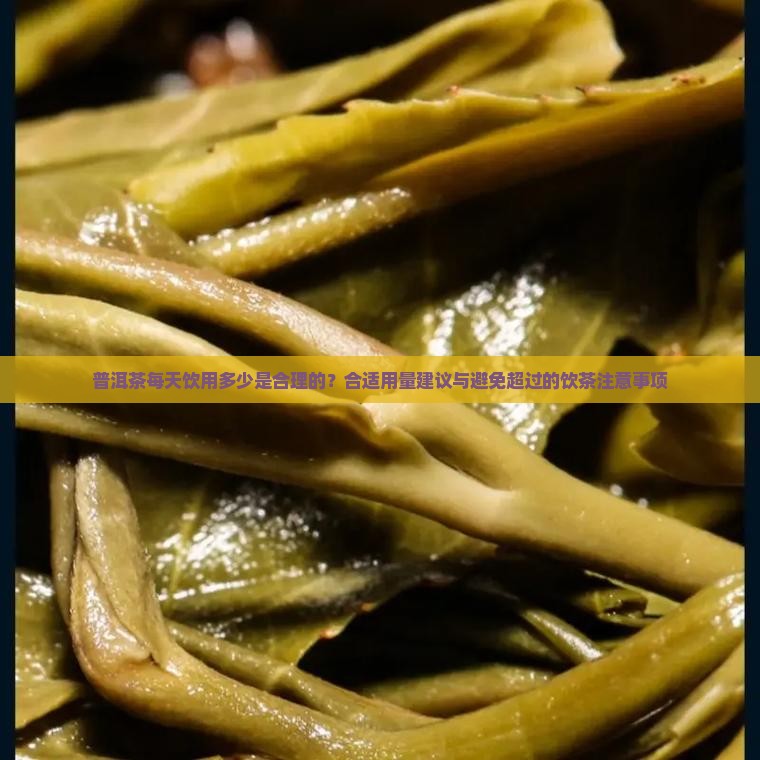 普洱茶一天喝多少是合理的