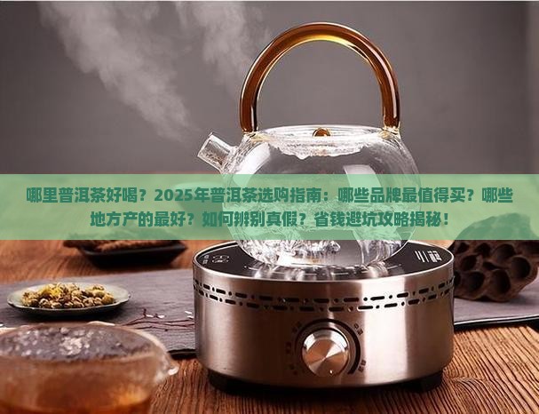 哪里普洱茶好喝