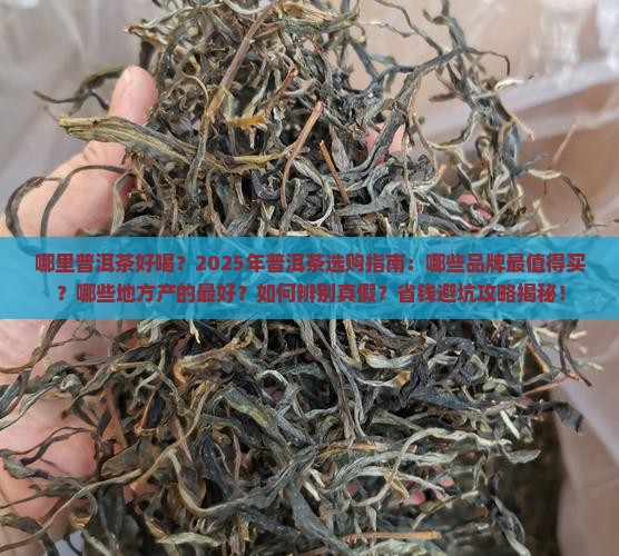 哪里普洱茶好喝
