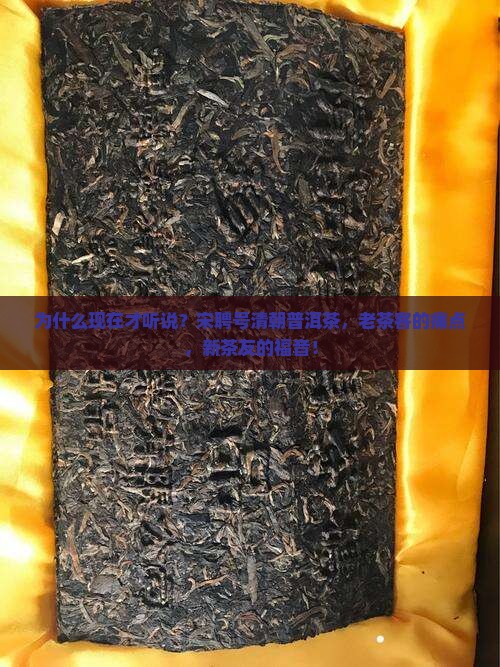 宋聘号清朝普洱茶