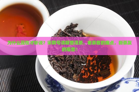 宋聘号清朝普洱茶