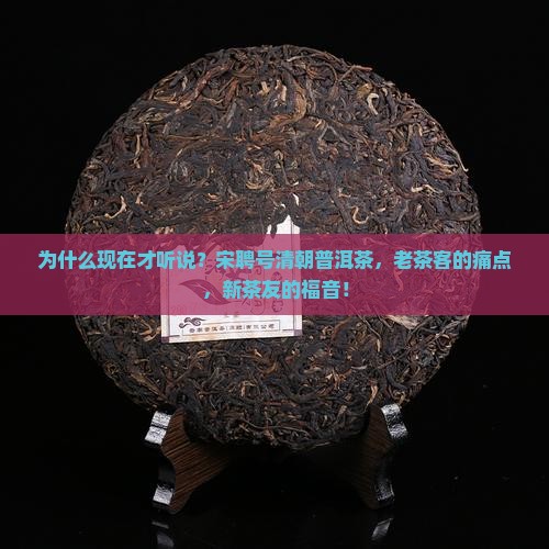 宋聘号清朝普洱茶