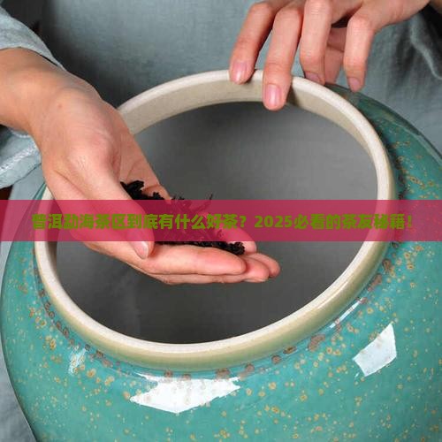 普洱勐海茶区什么茶