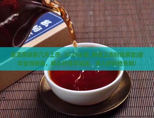普洱茶新茶几月上市