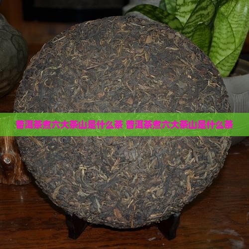 普洱茶煮六大茶山