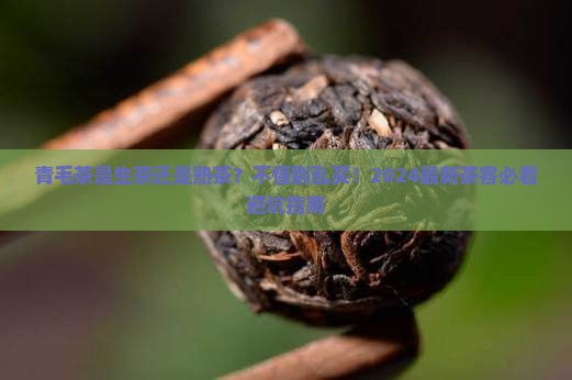 青毛茶是生茶还是熟茶