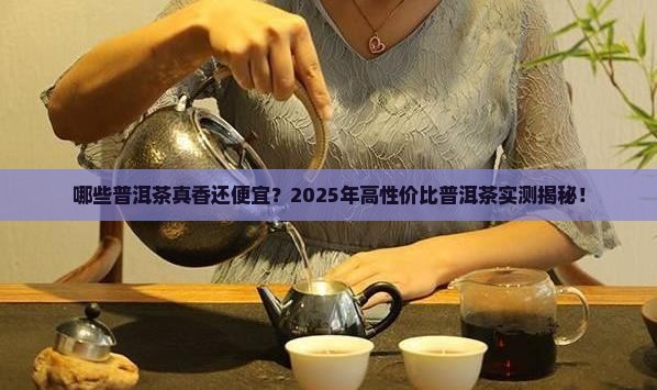 哪些性价比高的普洱茶好