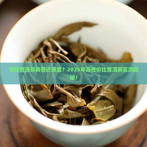 哪些性价比高的普洱茶好