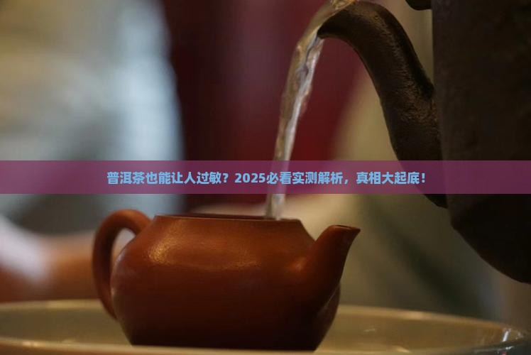 普洱茶有无过敏现象