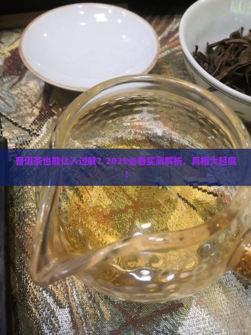 普洱茶有无过敏现象