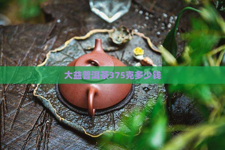 大益普洱茶375克多少钱