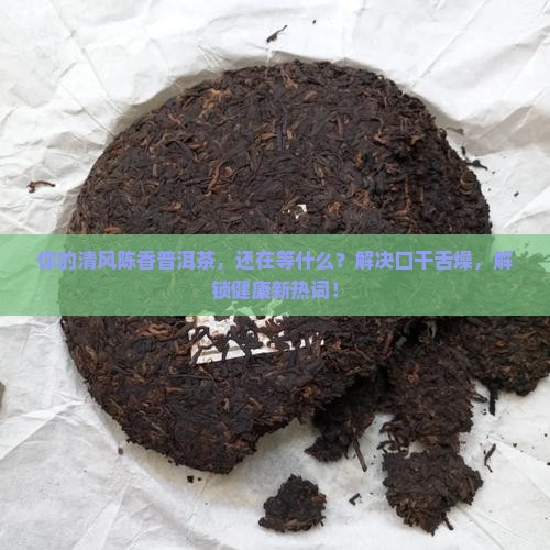 清风陈香普洱茶