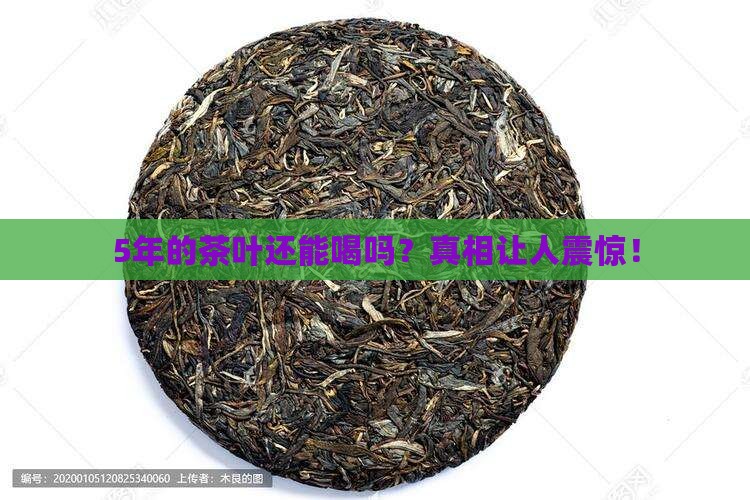 5年的茶叶还能喝吗
