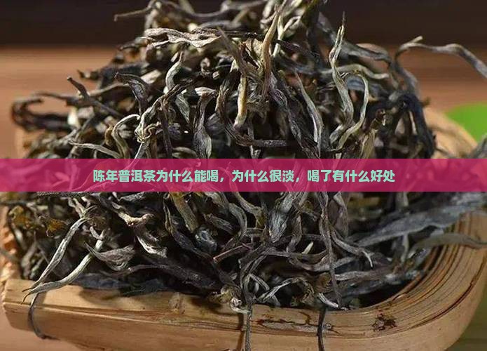 陈年普洱茶为什么能喝