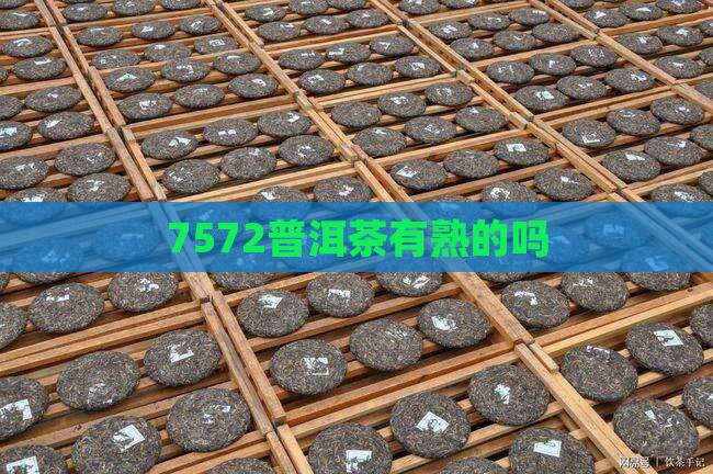 7572普洱茶有熟的吗