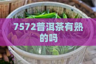 7572普洱茶有熟的吗