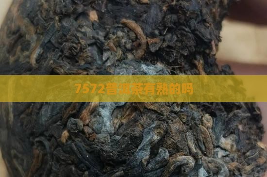 7572普洱茶有熟的吗