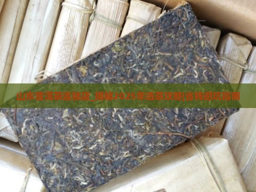 山东普洱茶连锁店