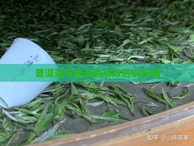 玉滴与普洱茶功效区别在哪