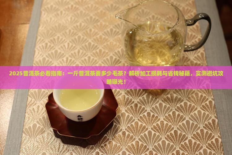 一斤普洱茶要多少毛茶