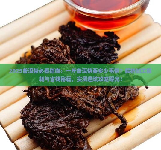 一斤普洱茶要多少毛茶