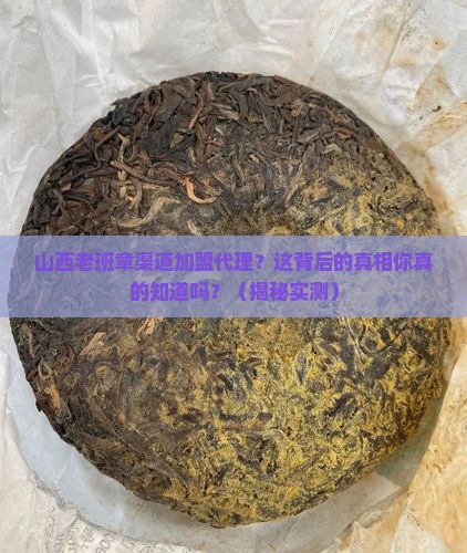 山西老班章渠道加盟代理