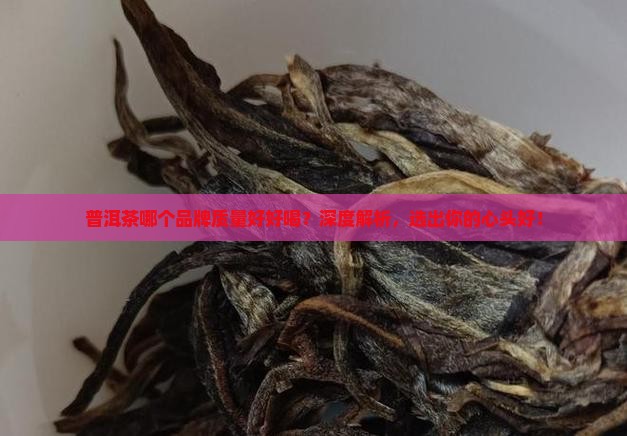 普洱茶哪个品牌质量好好喝