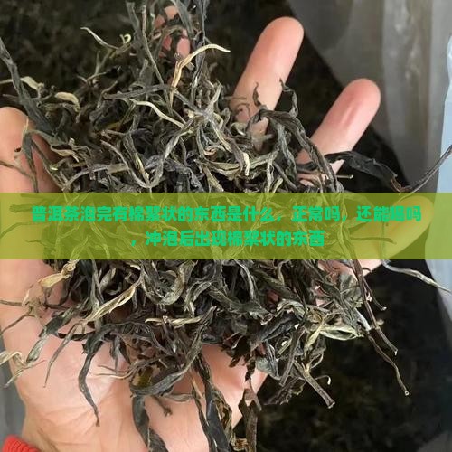 普洱茶泡完有棉絮状的东西