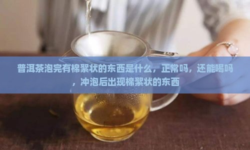 普洱茶泡完有棉絮状的东西